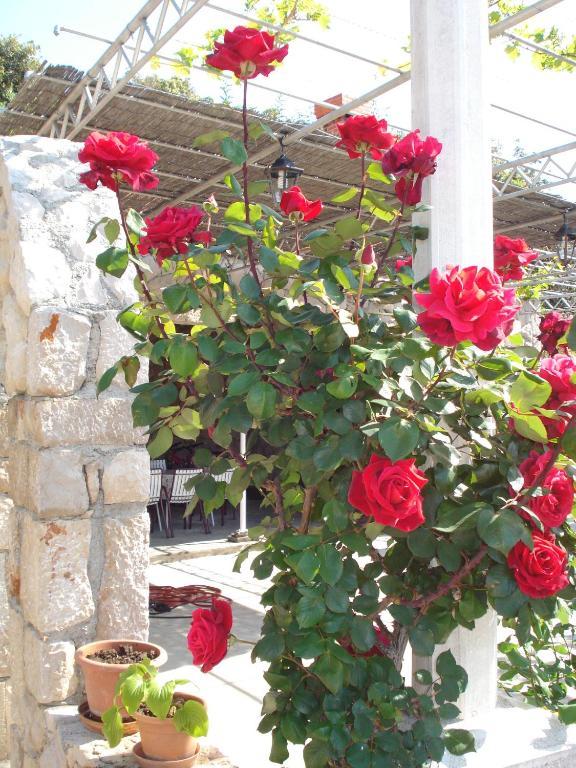 דוברובניק Tri Sestre Rooms מראה חיצוני תמונה